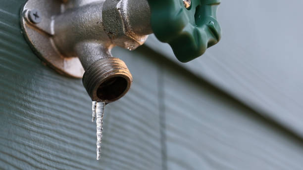 Best Local Plumber Services  in Sandusky, MI